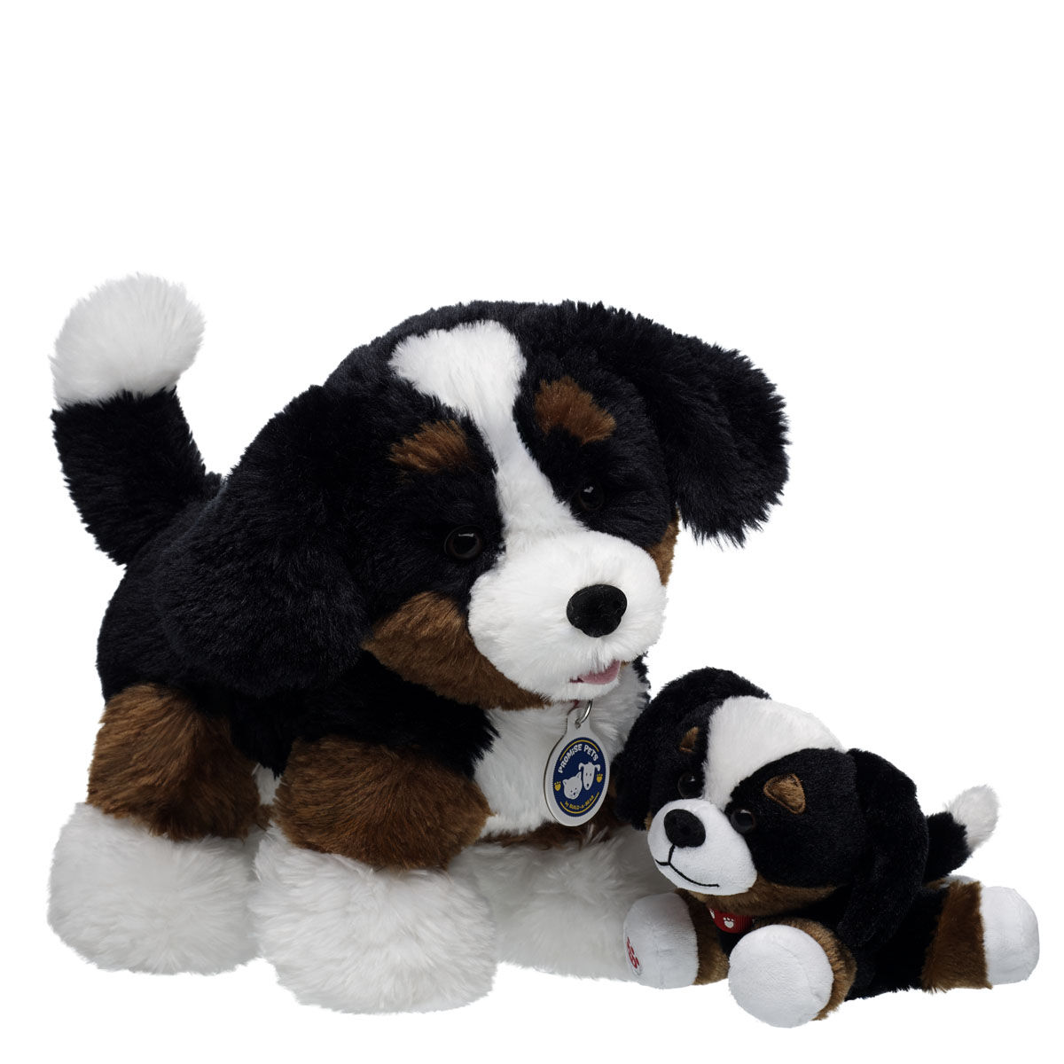 Promise Pets Bernese Mountain Dog Stuffed Animal Mini Beans Gift Set