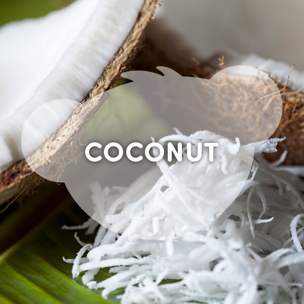 Scentiments Coconut Scent