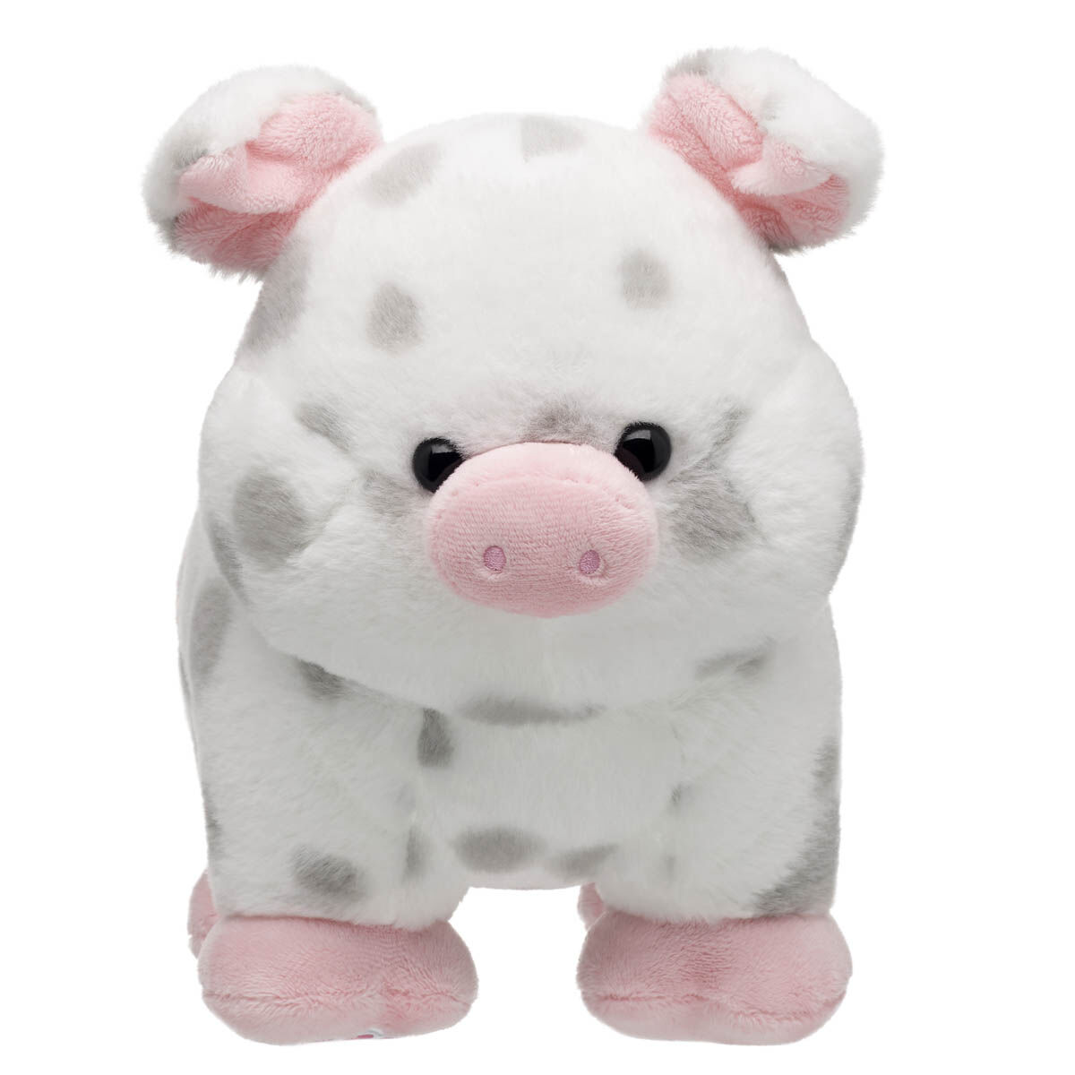 Spotted Pig Stuffed Animal - Image 2