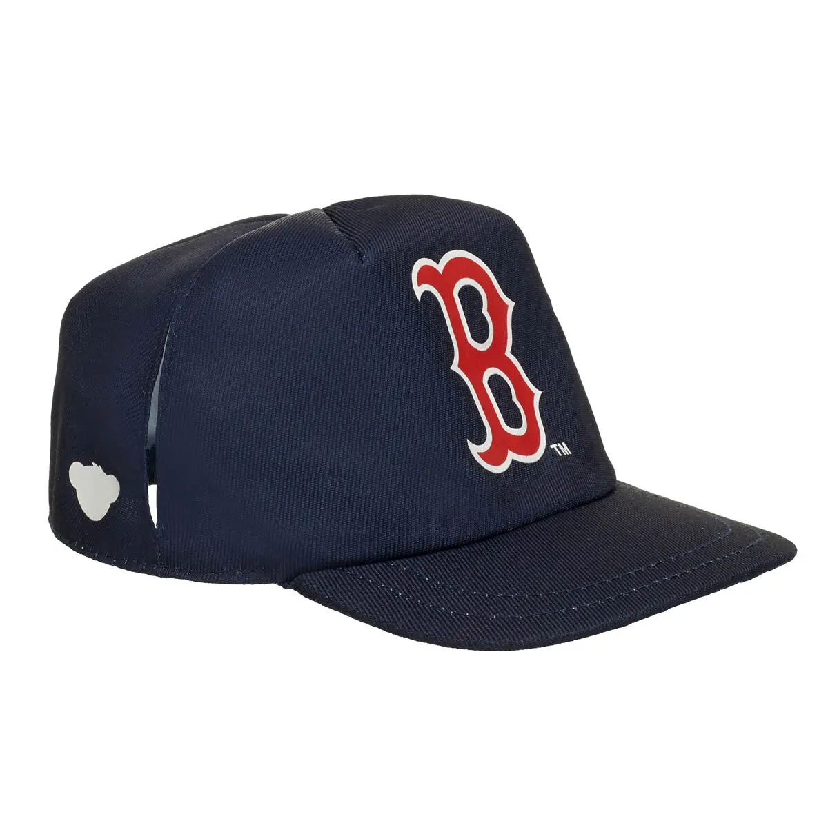 Boston Red Sox Hat