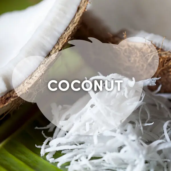 Scentiments Coconut Scent