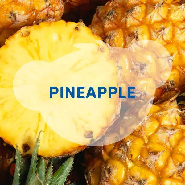 Scentiments Fresh Pineapple Scent