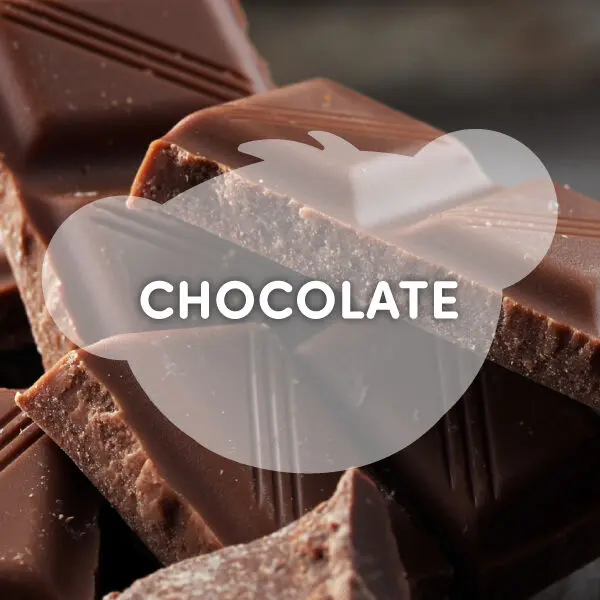 Scentiments Chocolate Scent