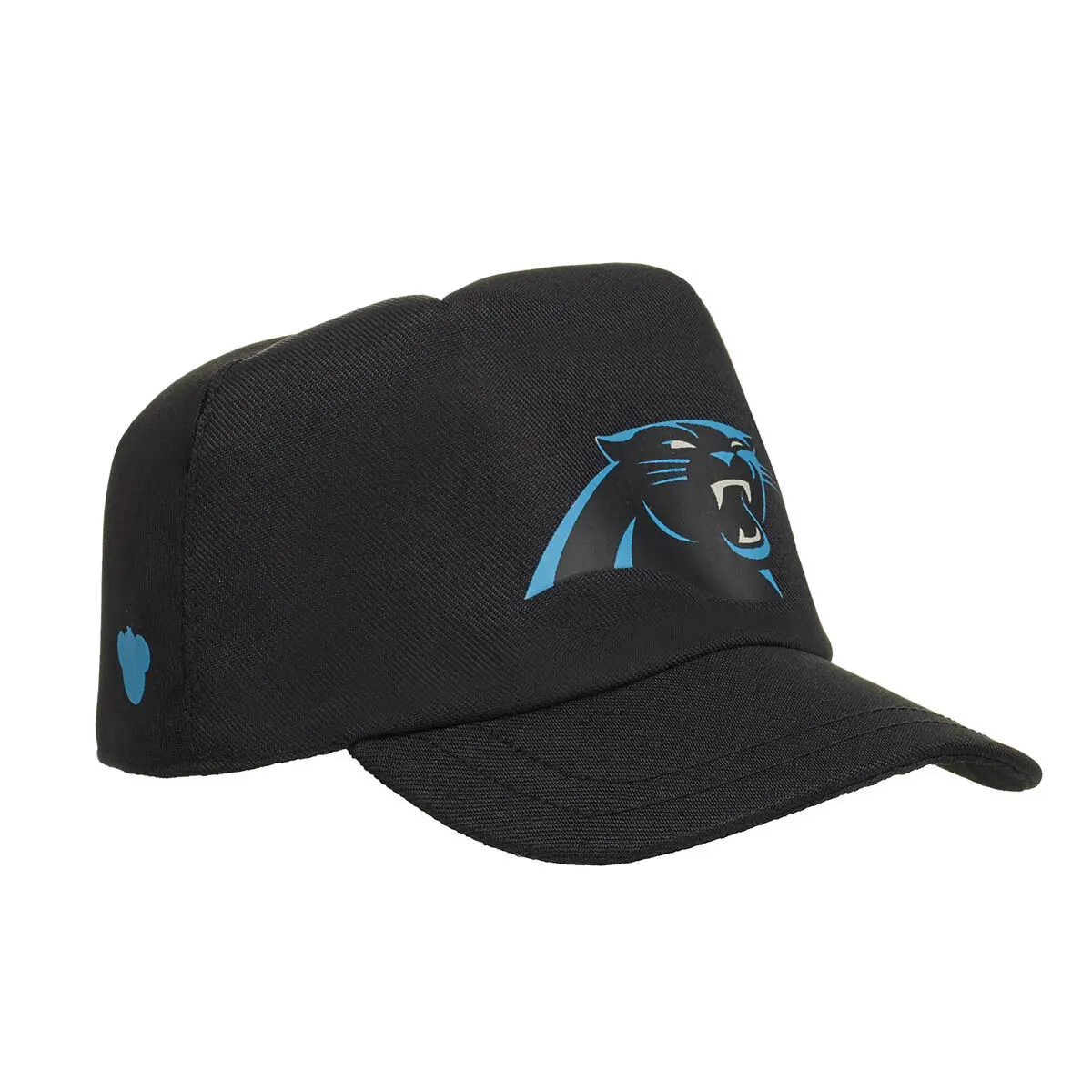 Carolina Panthers Fan Hat