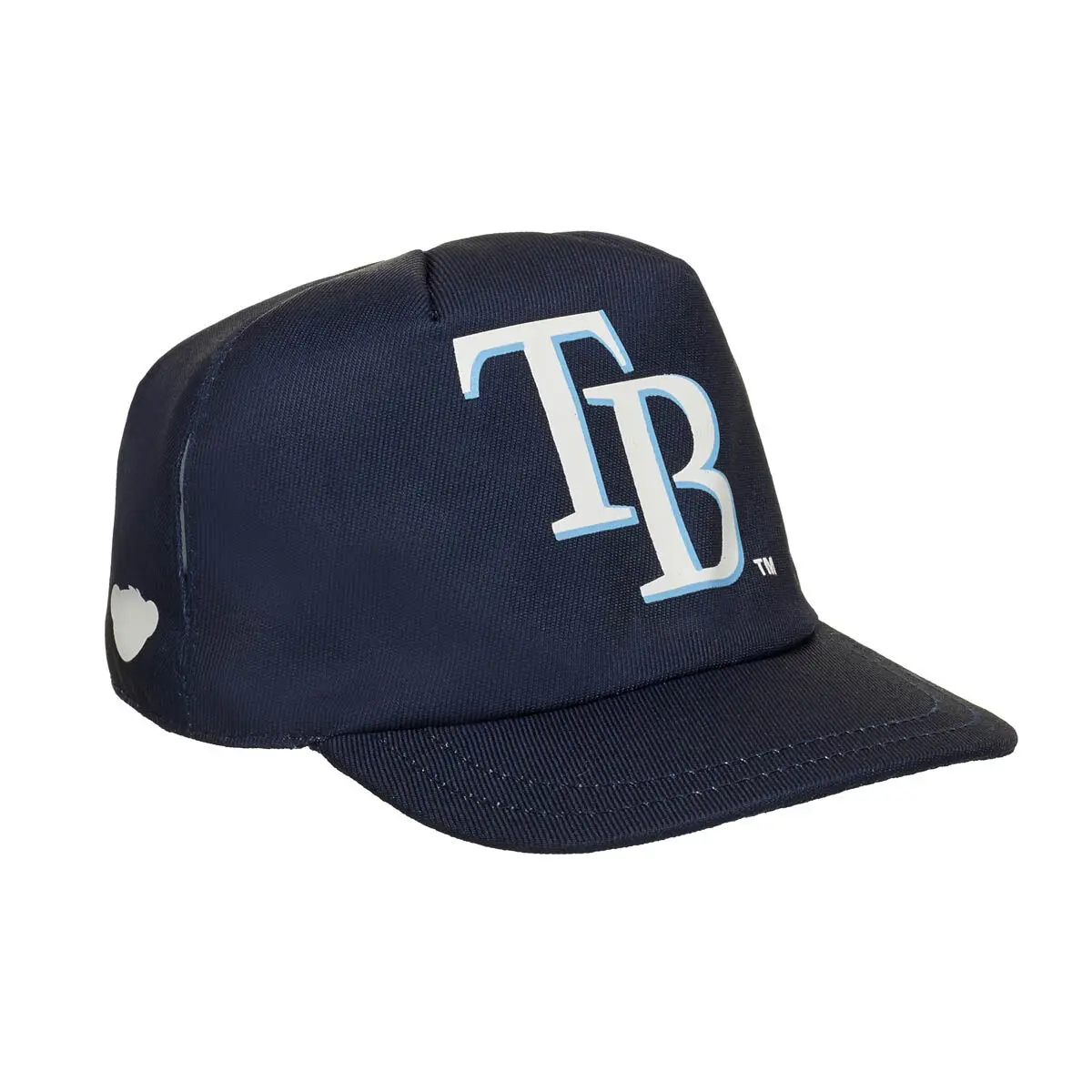 Tampa Bay Rays Hat