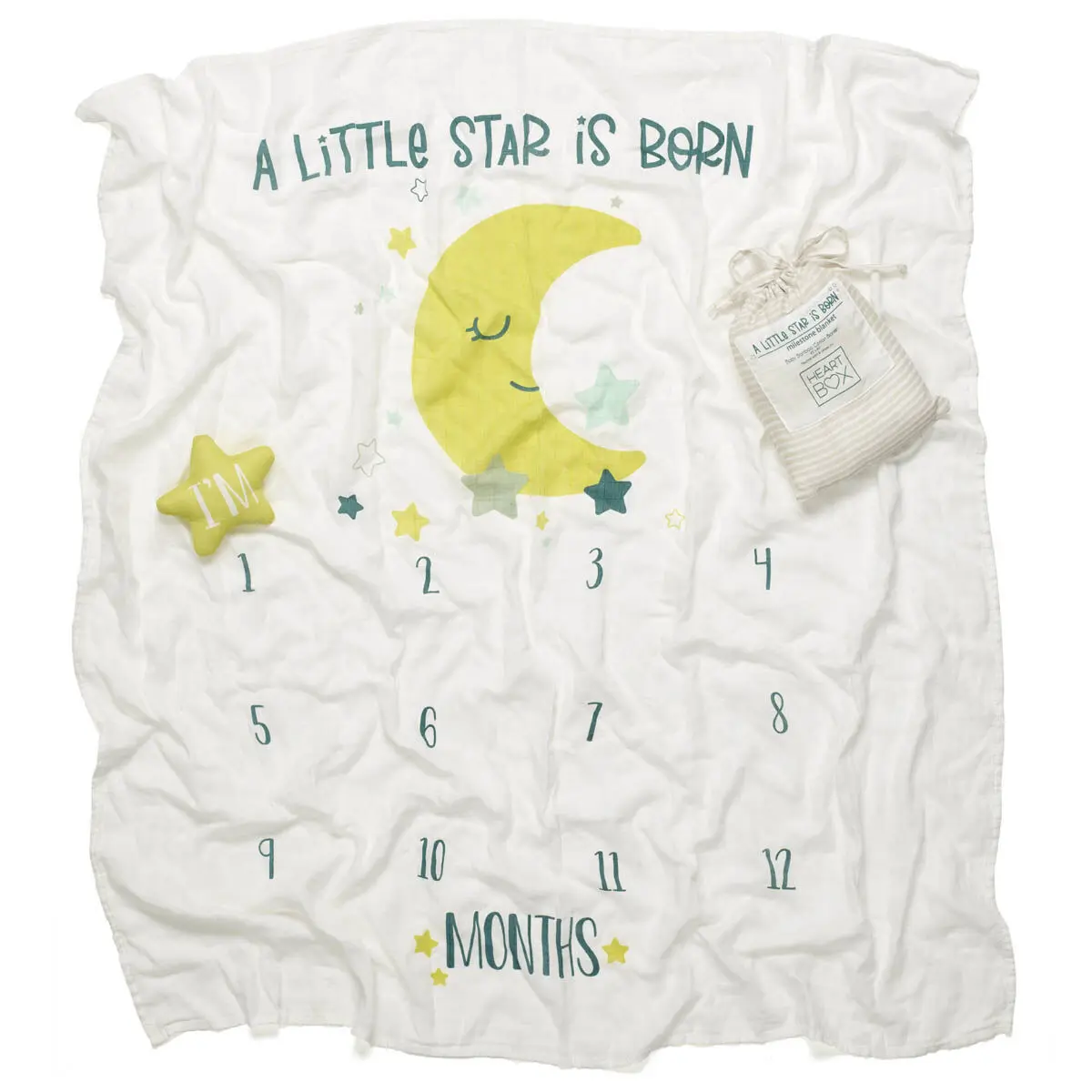 Monthly Milestone Baby Blanket - Image 2