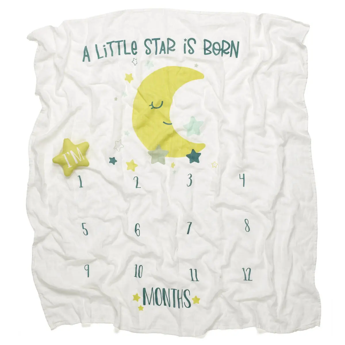 Monthly Milestone Baby Blanket - Image 4